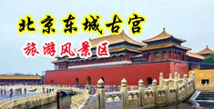 身材高挑大鸡巴刚好插进去黄色网站。中国北京-东城古宫旅游风景区